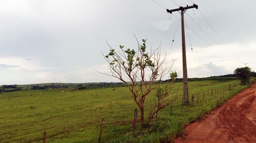 Trabalhador recebe descarga elétrica de 11 mil volts e morre em Adamantina