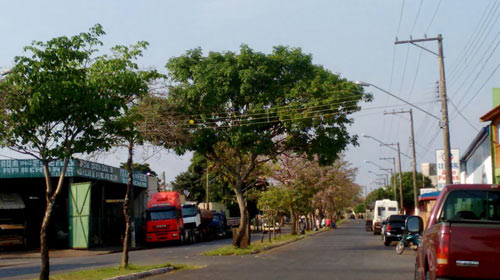Esta semana será de chuva e frio