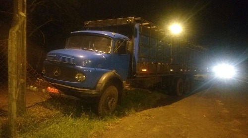 Polícia Rodoviária recupera 25 cabeças de gado roubadas na região