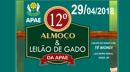 Almoço e Leilão de gado da APAE é amanhã, em Assis