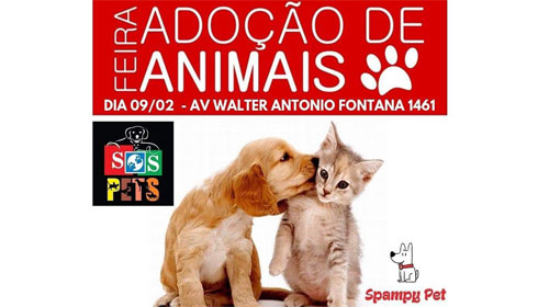 SOS Pets realiza 1ª feira de adoção do ano neste sábado em Assis