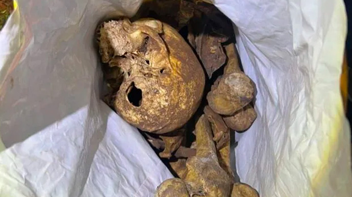 Ossada humana é encontrada em propriedade rural de Palmital