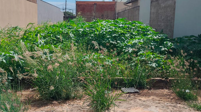 Prefeitura de Assis notifica mais de 60 terrenos com mato alto e entulhos no Jardim Paraná