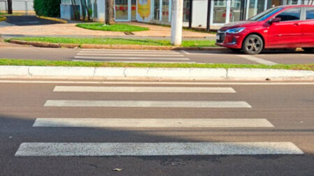 Câmara de Assis protocola indicação para desobstrução de canteiro central na Avenida Dom Antônio