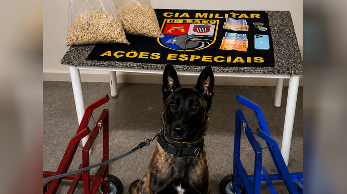BAEP apreende cerca de 5 kg de crack escondidos em carrinhos de transporte durante abordagem a ônibus