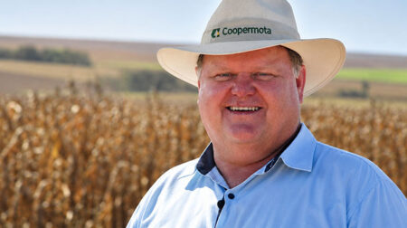 Cooperar é construir juntos