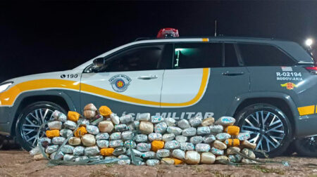 Droga foi avaliada em mais de R$ 100 mil - FOTO: Polícia Rodoviária